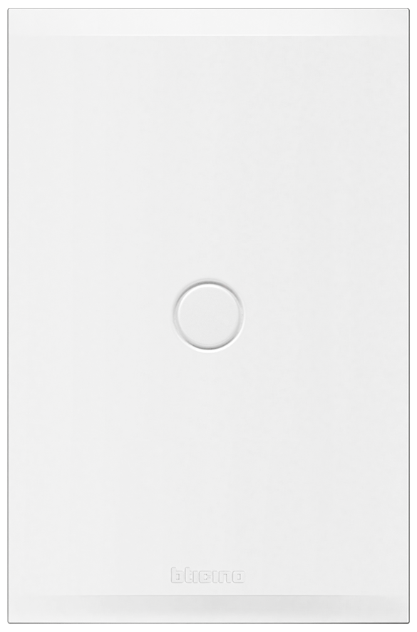 Placa ciega