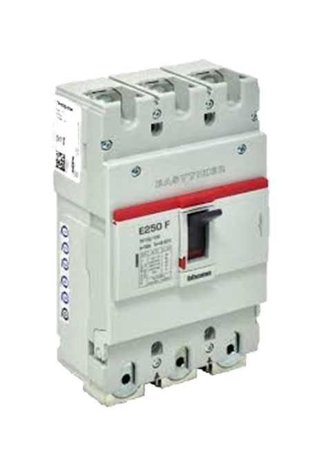 CARACTERÍSTICAS GENERALES