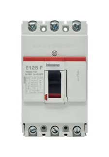 CARACTERÍSTICAS GENERALES