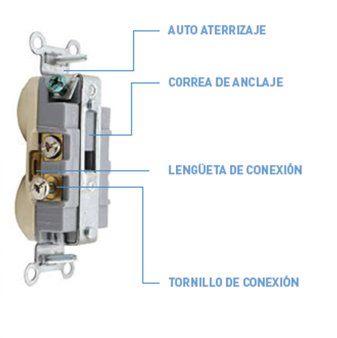 TOMA GRADO COMERCIAL